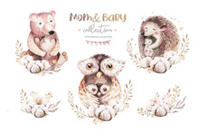 Watercolor Little Owl, Bear Deer And Hedgehog Baby And Mother Watercolour Cartoon Nursery Card. Forest Funny Young Animals Illustration. Mom And Baby Decor Poster
