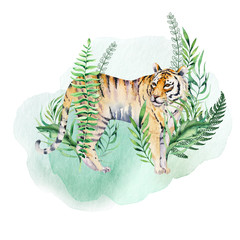 Watercolor tiger illustration and summer paradise tropical leaves jungle print. Palm plant and flower isolated o white.