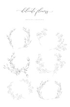 Collection Of Delicate Line Drawing Vector Floral Wreaths Frames. Hand Drawn Delicate Flowers, Branches, Leaves, Blossom. Botanical Illustration. Leaf Logo
