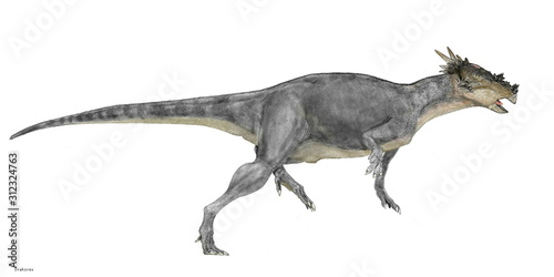 ドラコレックス 恐竜 堅頭科目 パキケファロサウルス科 北米大陸の白亜紀後期の地層から発見されており パキケファロサウルスの仲間であるが 分厚いドーム型の頭部にはなっていない 禍々しい硬い棘がレックス 竜王 の名を象徴している 全長は3メートル程度 ドラコレックス 恐竜 堅頭科目 パキケファロサウルス科 北米大陸の白亜紀後期の地層から発見されており パキケファロサウルスの仲間であるが 分厚いドーム型の頭部にはなっていない 禍々しい硬い棘がレックス 竜王 の名を象徴している 全長は3メートル程度
