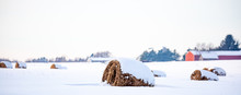Round Hay Bales Covered With Snow In A Farm Field Panoramic