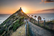 Nugget point Lighthouse. Beautiful sunrise landscape scenery. Walkway path to lighthouse in New Zealand.
