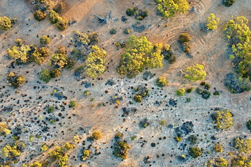 Sticker - Australian outback in the sunset