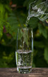 pouring Glass of clear water from jug on nature background