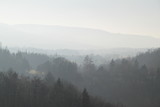 Fototapeta Na ścianę - Vue sur la forêt depuis le château de Ferrette