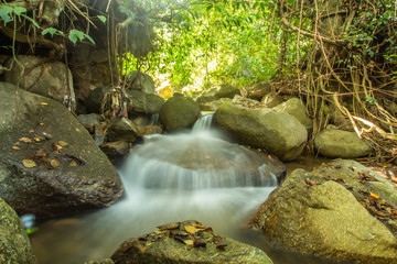 Canvas Print - Kathu Waterfall in the tropical forest area In Asia, suitable for walks, nature walks and hiking, adventure photography Of the national park Phuket Thailand,Suitable for travel and leisure.