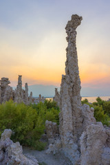 Canvas Print - Beautiful tufa in mono lake, California