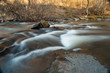 Sope Creek in Atlanta Georgia with brush in the creek and rocks