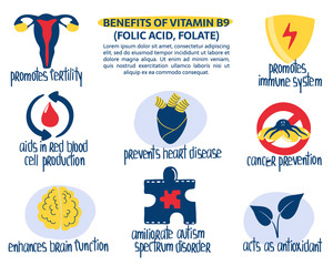 Hand drawn vitamin B9 or folic acid, folate benefits: promotes fertility, immunity, prevents heart disease, ameliorate autism. Vector illustration is for pharmacological or medical poster, brochure.