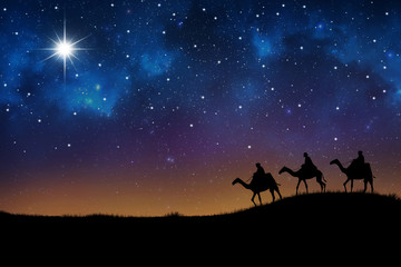 wisemen visit baby jesus