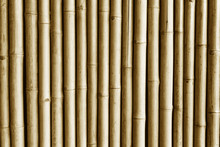 Brown Bamboo Stick Wall. Asian Natural Jungle Fence Background.