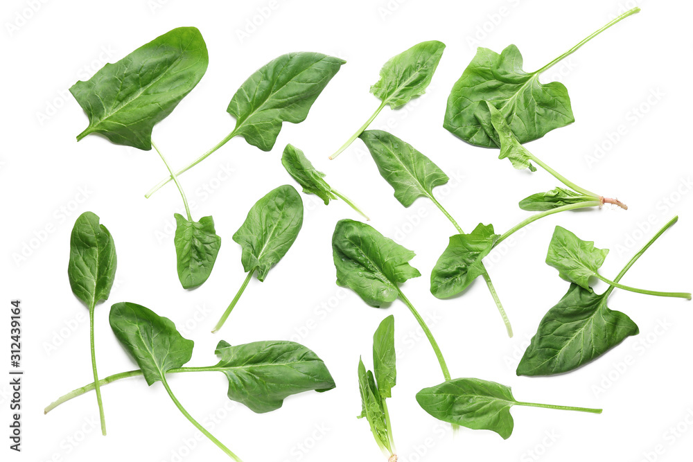 Fresh green spinach on white background