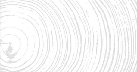 wood material surface tree age rings texture. wooden rings surface. 4k rings background. vintage eff