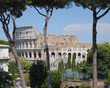 View of Colosseum from the Roman Forum with trees framing it