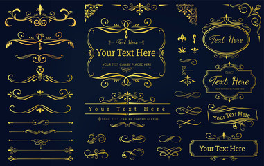 collection set of label ornament vector illustration