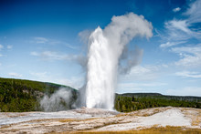Old Faithful Geyser  And The Landscape Nature In Yellowstone National Park In Wyoming , United States Of America
