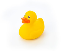 Still Life Nice Yellow Rubber Duck On White Background With Soft Natural Shadow