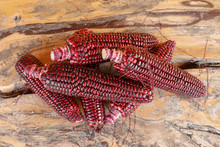 Siam Ruby Queen Or Red Corn Of Bali Is A Type Of Sweet Corn. Red Corn's Kernels Are Stained With Hues Of Ruby. Can Be Eaten Fresh. The Taste Is Sweet And Crisp. With Clipping Path. Best Background.