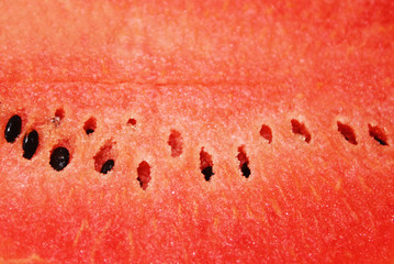 Canvas Print - Red watermelon flesh closeup seamless, watermelon macro photo texture background