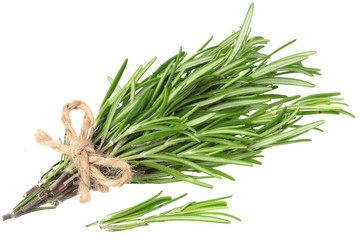 rosemary leaves isolated on white background. rosemary bunch