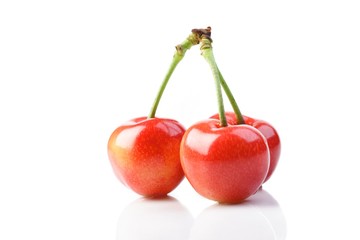 Studio shot of cherries on white background