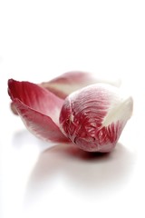 Close up of chicory on white background