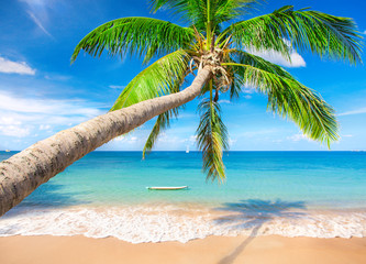 Wall Mural - beach and coconut palm tree. koh tao, thailand
