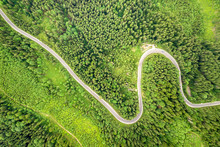 Top Down Aerial View Of Winding Forest Road In Green Mountain Spruce Woods.