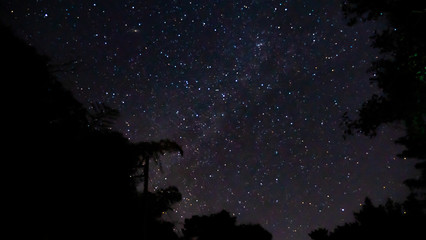 Wall Mural - milky way at night