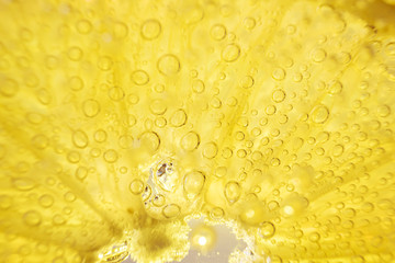  Closeup slice of lemon in mineral water. Macro photo. The concept of vitamin C, lemonade, summer citrus drinks.