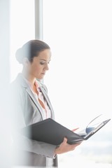 Wall Mural - Side view of young businesswoman reading file in office