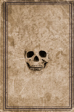 Old Book With A Skull On The Cover