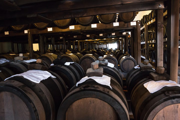 Wall Mural - Balsamic Vinegar Factory in Modena