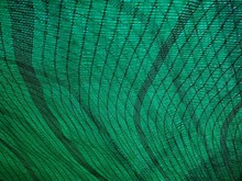 Green Net With Pattern Of Texture At Bird Eye View Picture