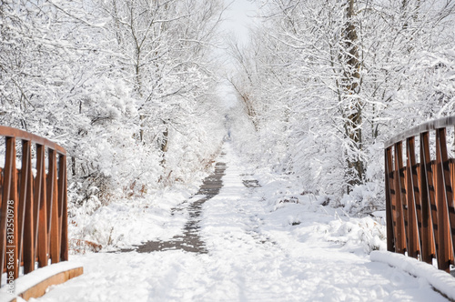 Cuadros en Lienzo Bridge in the snowy trail
