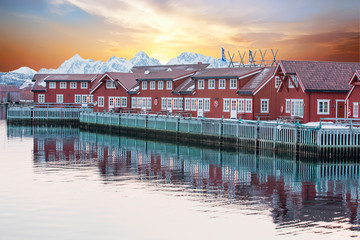 Rorburs red with sunrise  reflection, Lofoten