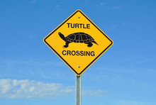 Turtle Crossing Sign Free Stock Photo - Public Domain Pictures