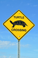 Turtle Crossing Sign On Blue Sky