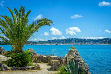 View of beautiful Gouvia Bay, port marina with yachts, palm tree, blue sky and hills on the horizon. Summer landscape, Corfu Island, Greece. 