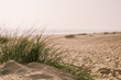 © Darren Seamark/Stocksy - Beach scene with grasses in a sand dune