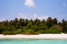 Maldive Island In The Ocean