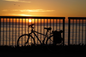 Wall Mural - Beautiful Pacific coast in California