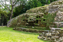 Lamanai Archaeological Reserve Mayan Ruins Jaguar Temple Belize