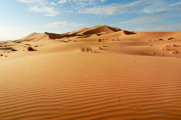 sand dune in the sahara desert