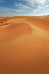   sand dune in the sahara desert 