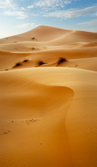   sand dune in the sahara desert 