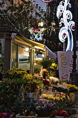 View of the called 'Plaza De Las Flores' (Cadiz, Andalusia, Spain) with Christmas decoration