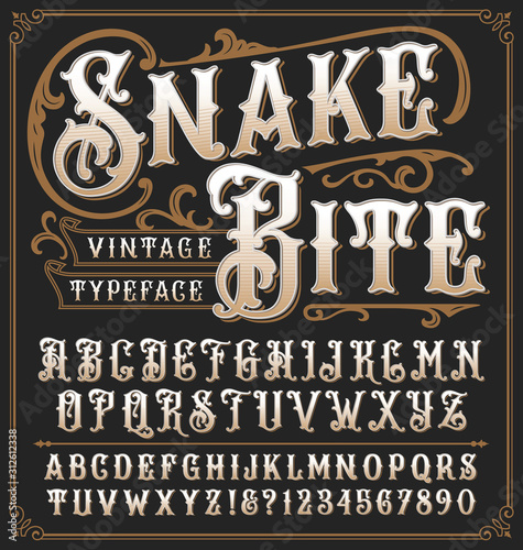 Cuadros en Lienzo Snake Bite a vintage decorative typeface with ornate frame