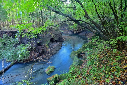 雨上がりの男池湧水群渓流の情景 大分 Foto De Stock Adobe Stock