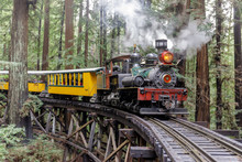 Steam Train Crossing An Old Trestle Through Redwood Forest. Felton, Santa Cruz County, California, USA.
